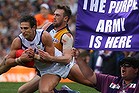 Who owns AFL?