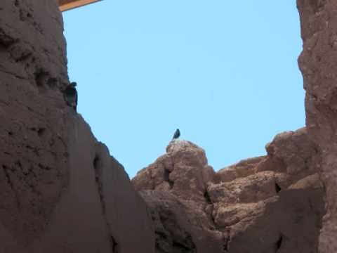 The Casa Grande Ruins, AZ - Slideshow