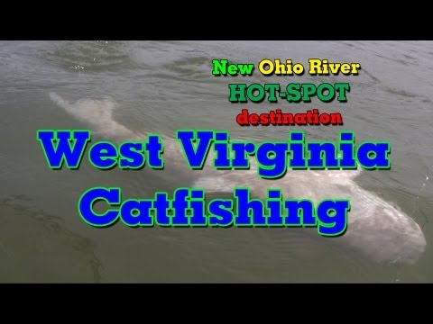 Catching Big Catfish in the Ohio River. (Ohio/West Virginia)