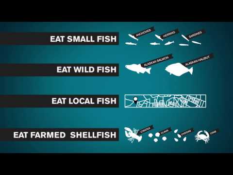 Saving the Oceans by Eating Sustainable Seafood