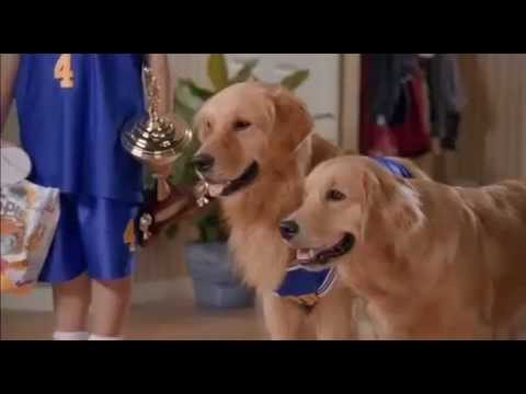 air buddies  full movie