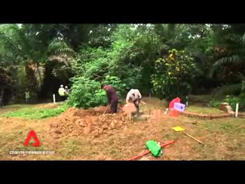 Public exhumation at Bukit Brown cemetery begins   Channel NewsAsia