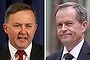 albanese, shorten