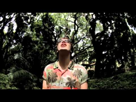 Friendly Fires - Hawaiian Air (Trailer)