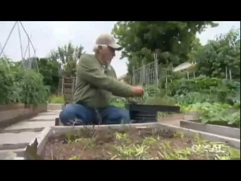 Prepper Backyard Farming 1/4 Acre = TONS of Food