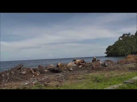 Driving around Pulau Ternate, North Maluku islands, Indonesia