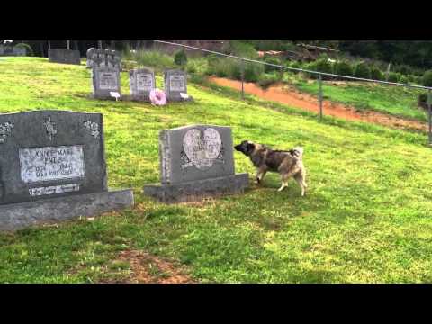 Find a Grave Cemetery Search Part 2