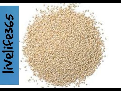 What Is Quinoa?