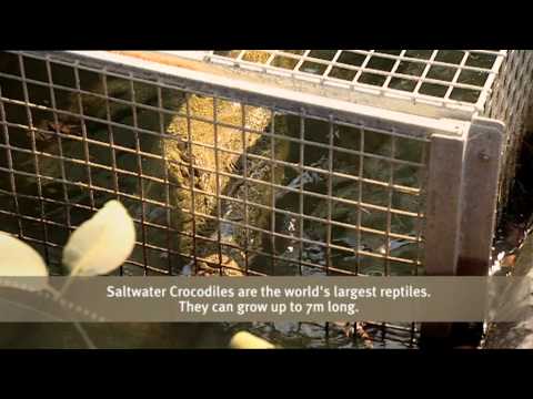 Outback Wildlife Rescue Episode 2