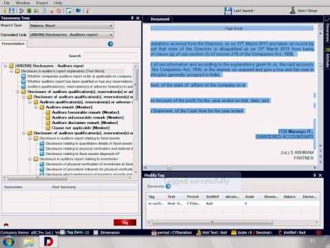 DataTracks XBRL Software - How to do XBRL tagging