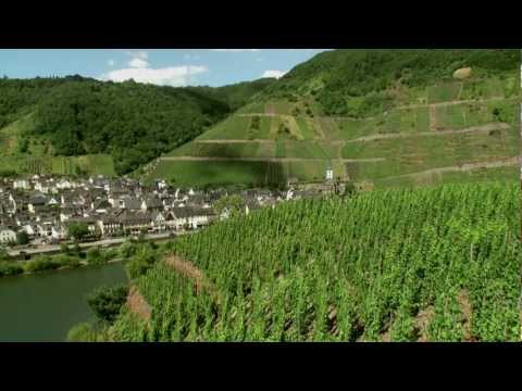 Mosel Wines - German Riesling Wine from Moselle Valley - Germany wine tourism