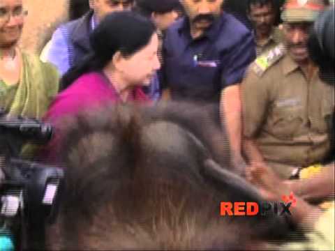 Tamil Nadu Chief Minister J Jayalalitha's Narrow escape from an Elephant attack - Red Pix