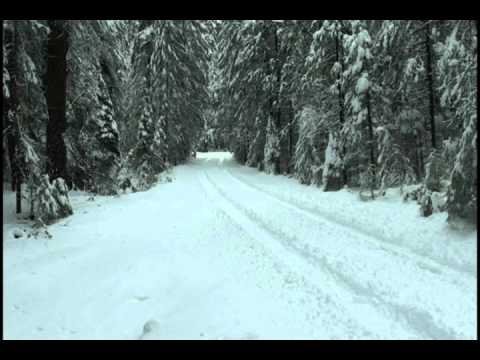 M35A2 military 6x6 truck driving in the snow multi fuel whistler turbo sound