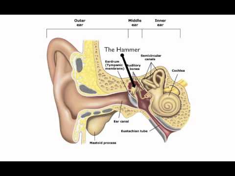 Recording Connection Lesson 1 | Audio Engineering Course