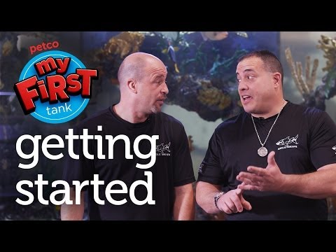 Building Your First Fish Tank - How To Set Up An Aquarium (Part 1) by Petco & Animal Planet Tanked)