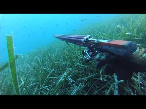 Spearfishing in ionian sea - part 2