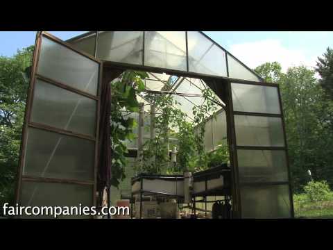 Backyard aquaponics: DIY system to farm fish with vegetables