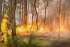 Perth hills bushfires in the Shire of Mundaring.