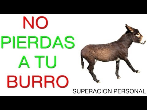 Superacion personal y Motivacion en español