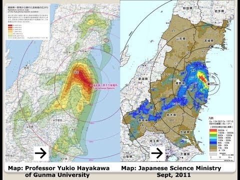 Medical and Ecological Consequences of the Fukushima Nuclear Accident