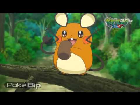 Pokémon XY   Pokémon la série animée, nouveau trailer