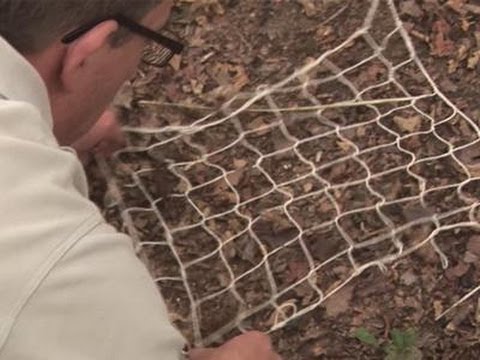 How To Make Your Own Fishing Net