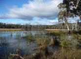 . Chock-N-Log Bay, Lake Leake, Tas 7210