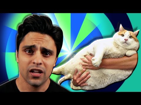 MEOW DIED :(  - Ray William Johnson