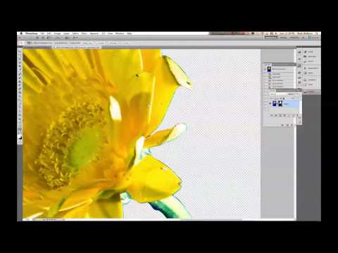 Clipping Paths: EP 218: Digital Photography 1 on 1