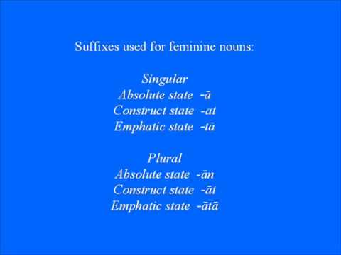 The language of Targum Onkelos  Noun morphology