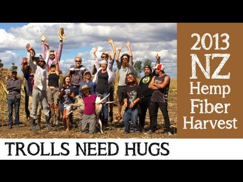 2013 Hemp Fiber & Hurd Harvest - The Hemp Farm New Zealand Ltd | TrollsNeedHugs