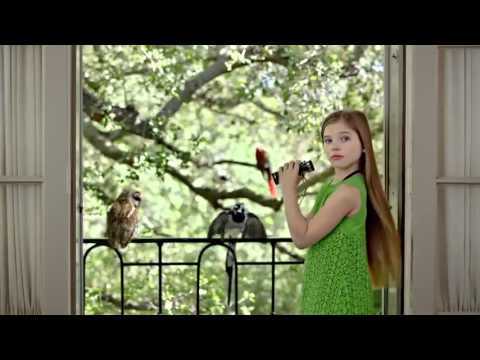 Bird Watcher   Google Fiber TV Commercial Ad