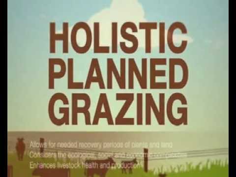 Holistic Planned Grazing