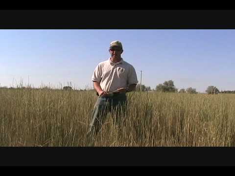 Grazing Management Basics