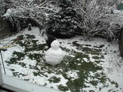 Natsume Snowseki (Natsume Soseki 夏目漱石）3-minute snowman. YEAH!