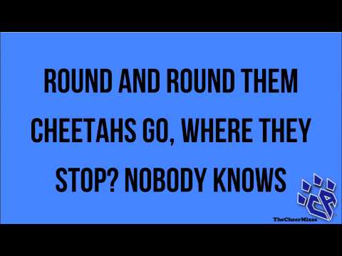 Cheer Athletics Cheetahs 2013-2014 LYRICS