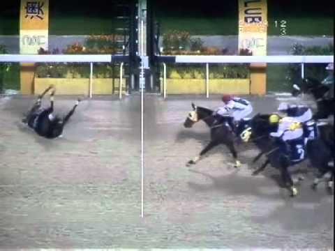 Perhaps this is the horse racing accident you never seen in your live.