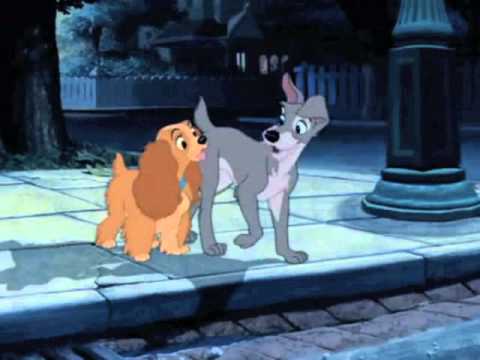 Oh Darling (Lady and the Tramp AMV)