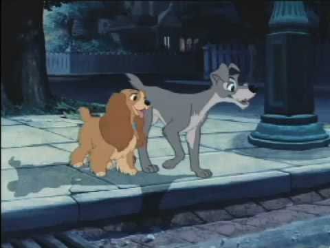 Lady and the Tramp [AMV] - 