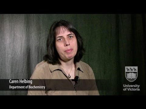 Faces of UVic Research: Caren Helbing