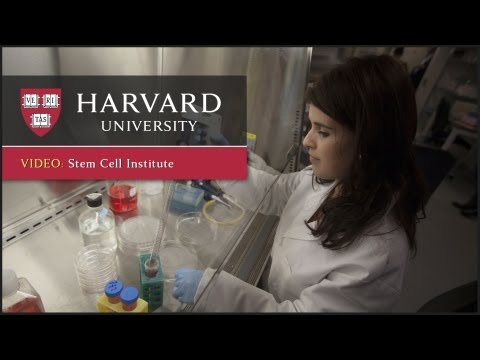 Changing the Foundations of Science: Harvard Stem Cell Institute | One Harvard