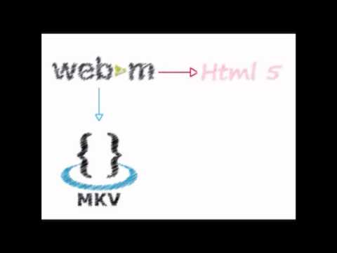 O QUE É WEBM?