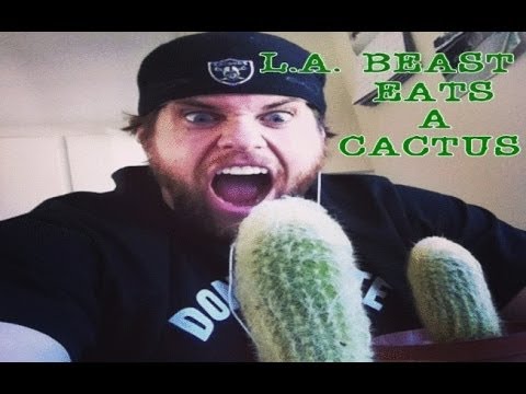 L.A. BEAST EATS A CACTUS