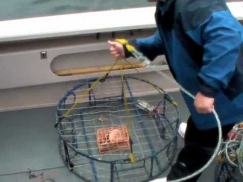 Dungeness Crabbing in Southeast Alaska