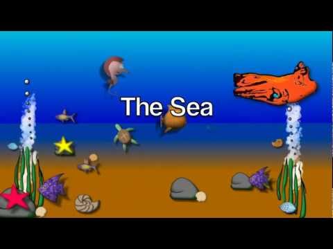 The Sea