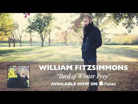 William Fitzsimmons - Bird of Winter Prey [Audio]