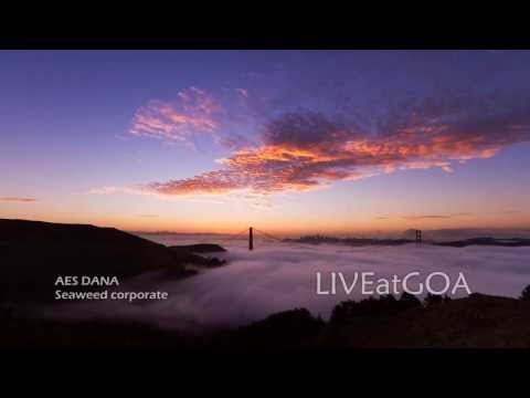 AES DANA - Seaweed corporate HD