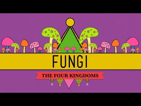 Fungi: Death Becomes Them - CrashCourse Biology #39