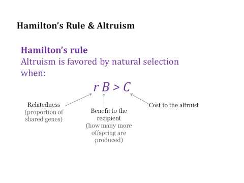 Hamilton's Rule