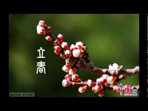 Chinese Music - Guqin - The Moon Mirrored in the Pool 二泉映月 - Performed by Cai Jiyue 蔡积悦